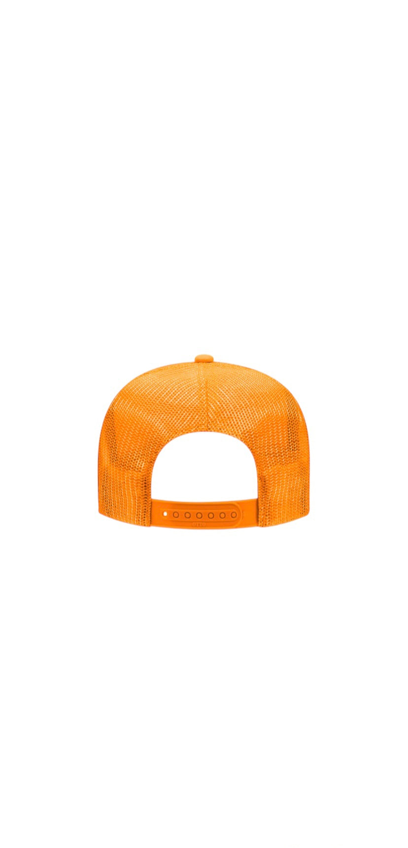 EVERYONE ISN’T YOUR FRIEND TRUCKER SUNBURST