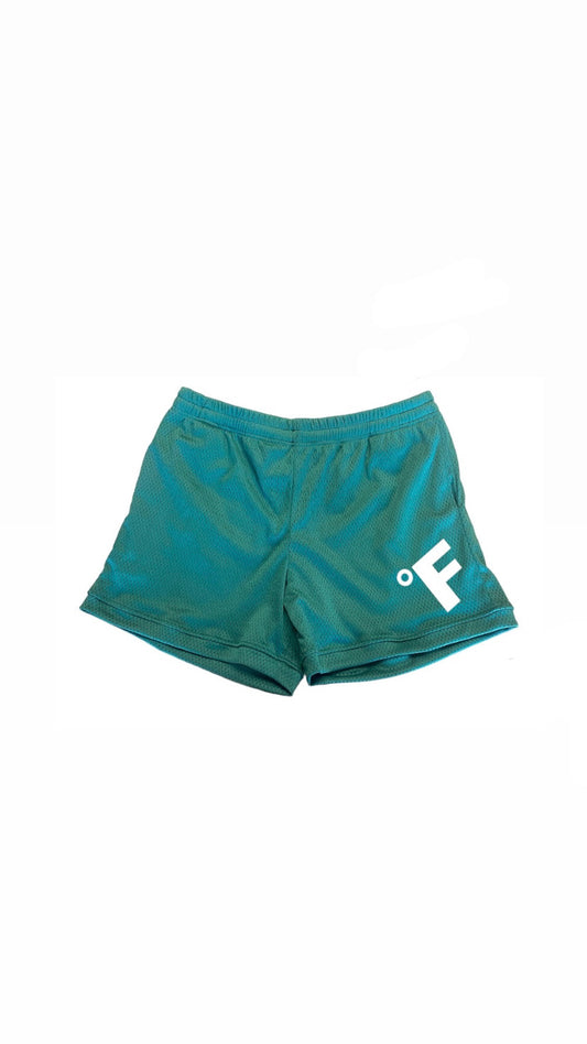 SCOF MESH SHORTS GREEN/WHITE